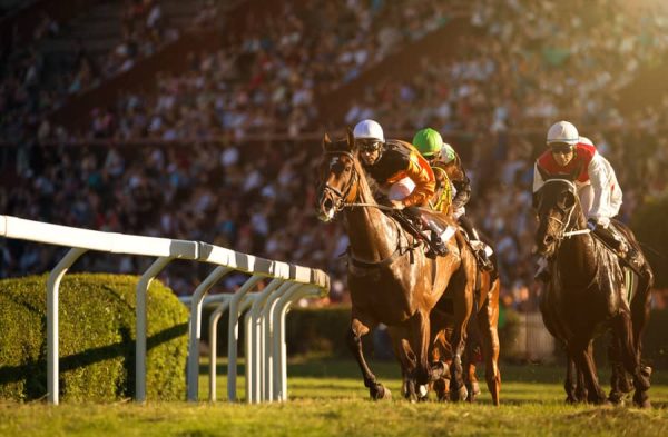 6 tips for å ha en flott Melbourne Cup-dag