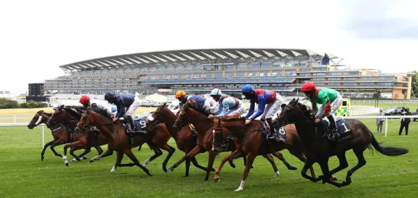 five-reasons-horses-have-better-chance-than-recent-form-suggests