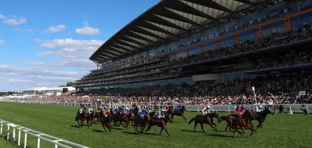 look-at-the-horse-racing-course